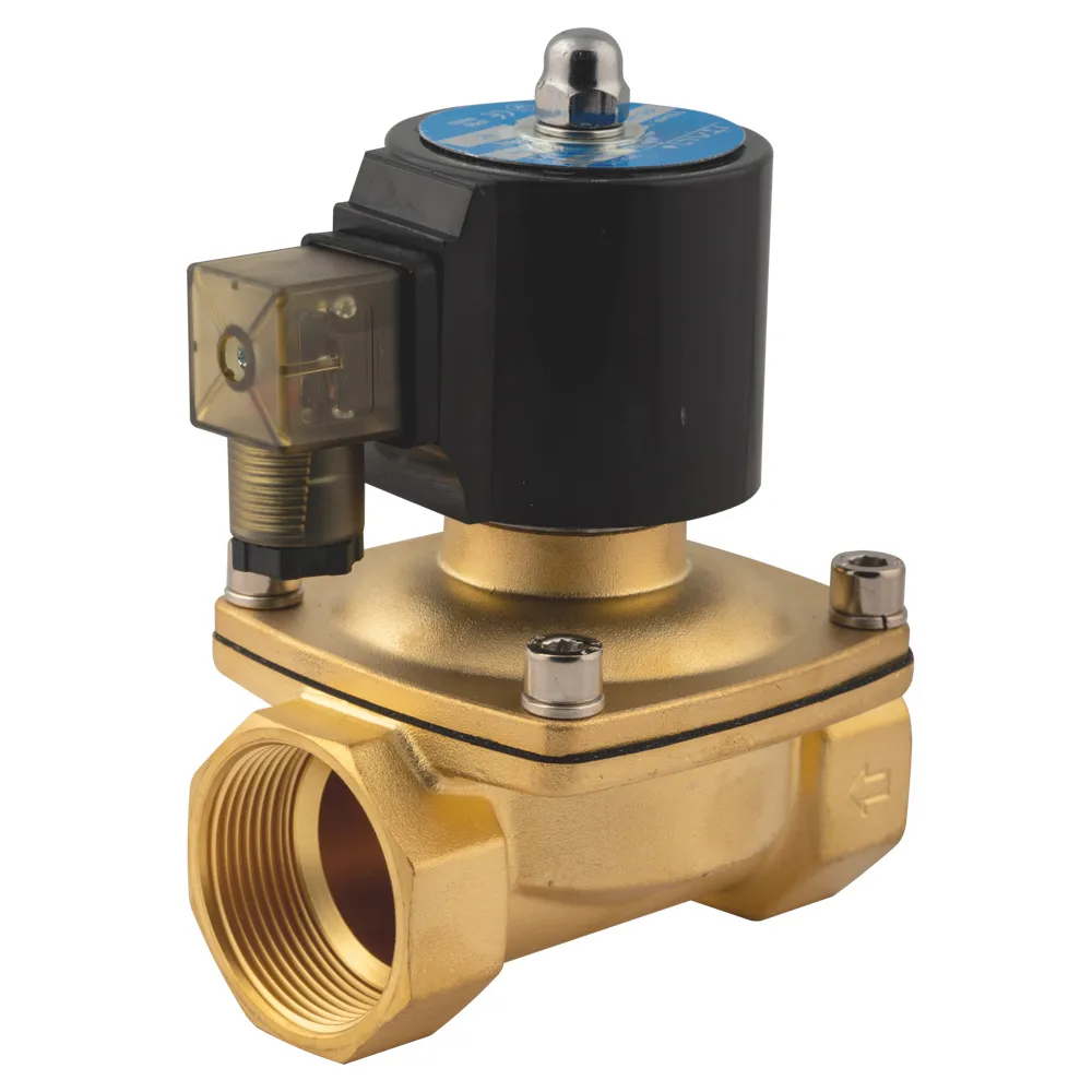 IT2-220-50A Клапан 2" електромагніт (NC) нормально-закрит. 2W500-50 AC220V {6}